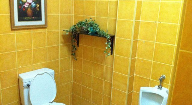 水道トラブルから住まいを守る日常点検と適切対応の重要性について